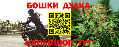 трава Новодвинск