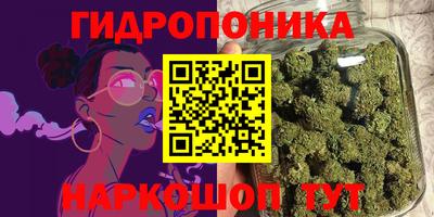 трава Новодвинск