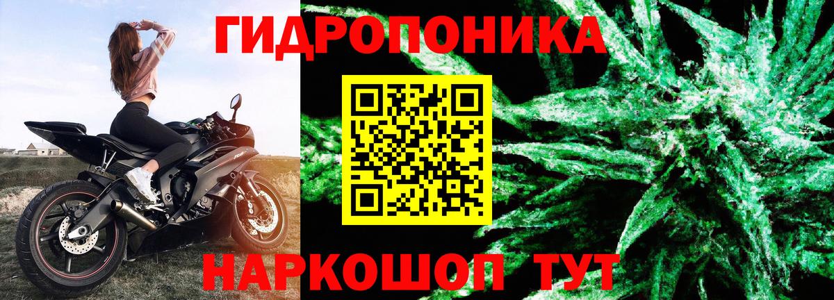 Бошки марихуана VHQ  Бошки Шишки индика  Рыбинск  Вход с VPN 
